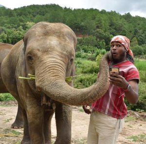 Above, UW-Scholar Deandre Hill-Stanton discovers how literally vast the world is while studying through the Nursing Track of the UW Global Health Field School in Thailand. Later on, he makes friends with a young elephant.