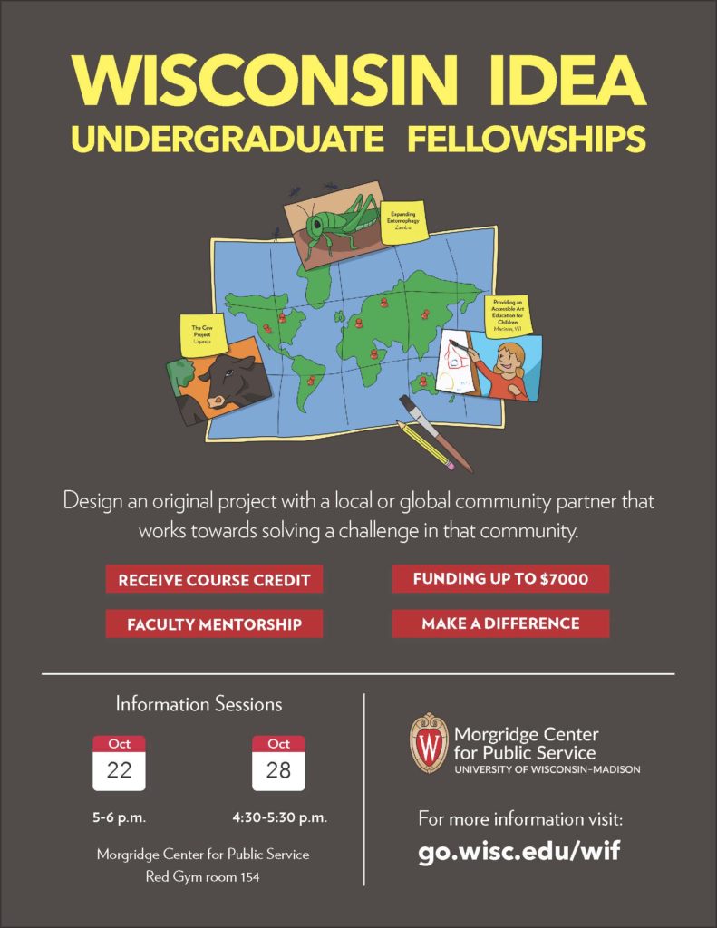 Undergraduate Fellowship flyer