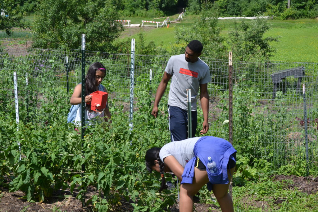 Dantrell Cotton instructing the "You Are What You Eat" middle school workshop field trip to the University Houses Community Garden for the PEOPLE program, Photo by Valeria A. Davis