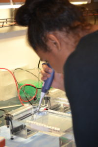 STEM Posse members get and introduction to laboratory science during summer campus orientation. Photo by Valeria A. Davis