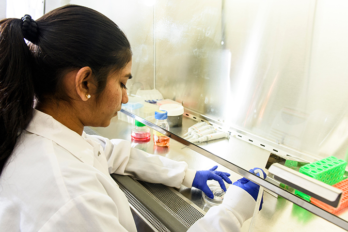 Kalvalya Molugu, graduate student at the University of Wisconsin-Madison, works with stem cells in a lab at the Wisconsin Institute for Discovery (WID) on Oct. 26, 2018. (Photo by Bryce Richter /UW-Madison)