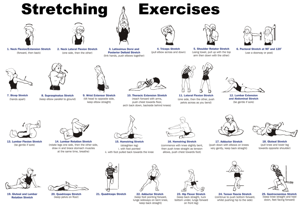 Chart of Stretching Exercise illustrations