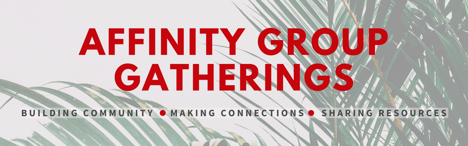 An image of fern fronds with the words "Affinity Group Gatherings: Building Community, Making Connections, Sharing Resources"