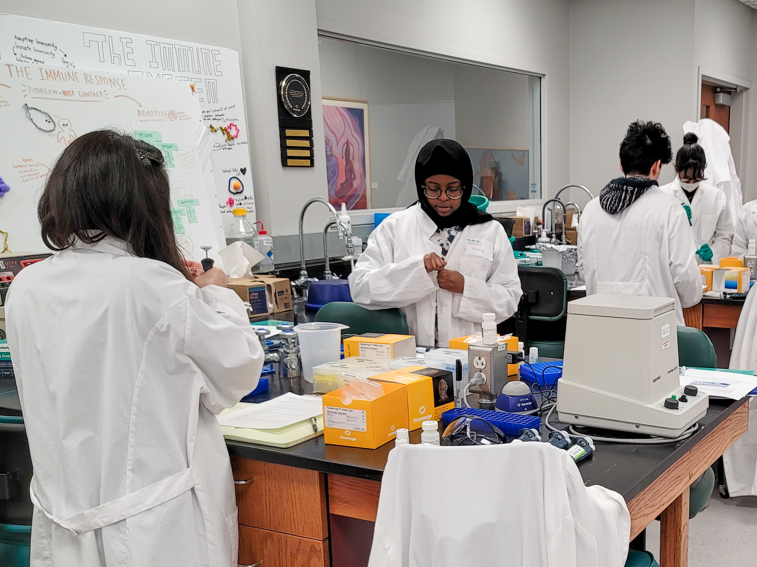 Four students wearing white lab coats work at science lab tables.